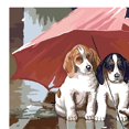 thumbnail image 3 of Pintura de bricolaje por números para adultos, , s de pintura por números, dibujo en para la decoración de de para hogar, Perros Macarena Cuadro de pintura al óleo, 3 of 6