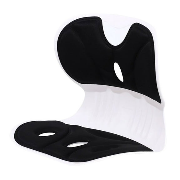 2025 Wider(Standard Wide) – Ergonomic Back Support Chair, Lumbar Support for Posture Correction, Back Pain Relief, Per for Office, Floor Seat & Work from Home (Black)