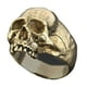 thumbnail image 1 of Anillo punk Sonducket de calavera de aleación para accesorios góticos de Halloween Oro nueve, 1 of 6