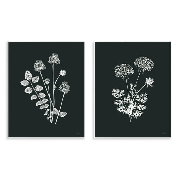 Stupell Industries Black and White Flower Cluster Plants & Flowers Painting Unframed Art Print Wall Art, 11 x 14, Set of 2