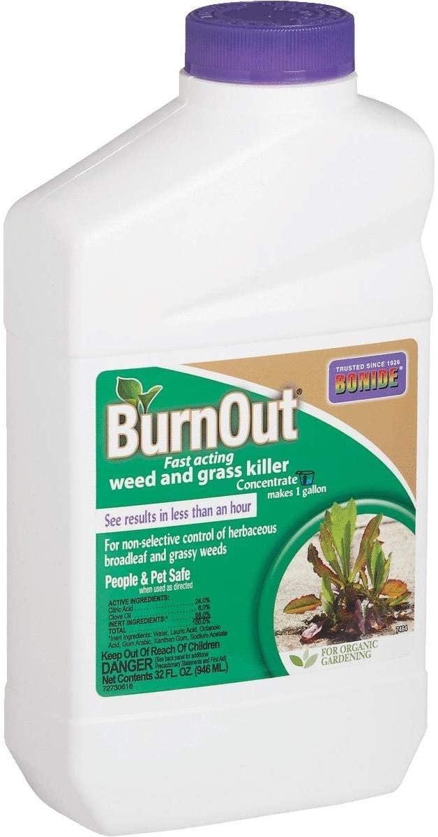 Bonide BND7464 Burnout Concentrate, Fast Acting Weed and Grass Killer