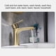 thumbnail image 4 of Grifo de agua contemporáneo frío y caliente Advancent para lavabo Negro, 4 of 6