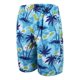 thumbnail image 1 of Short Para Playa Hombre Traje De Baño Hombre Bañadore Hombre, 1 of 8