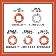 Pennington Bermudagrass Grass Seed, for Full Sun, 15 lb.