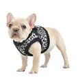 thumbnail image 1 of Leonard Vest Style Dog Harness By Puppia - Black - Large, 1 of 1