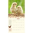 thumbnail image 4 of How to Speak Chicken Wall Calendar 2025 : A Year of Chickens Doing What They Do and Saying What They Say (Calendar), 4 of 4