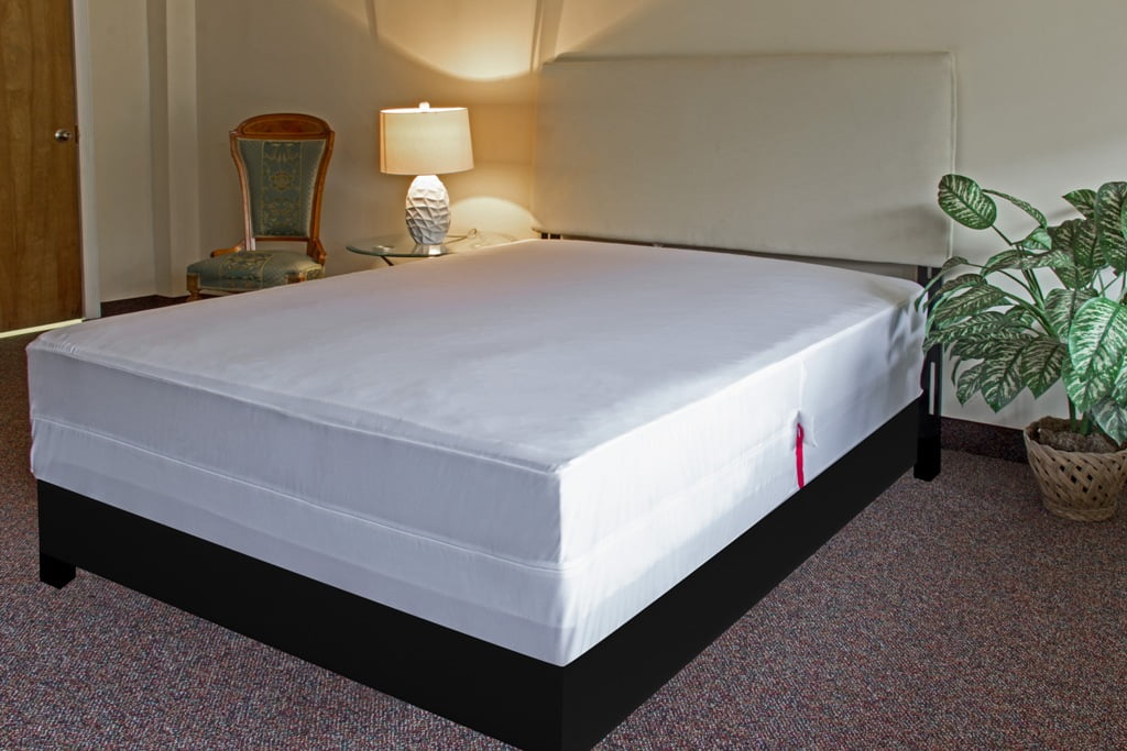 cozee mattress