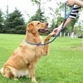 thumbnail image 3 of Slip Lead Dog Leash, Rope Dog Walking and Training Lead, No Pull Strong Nylon Leash, 3 of 5