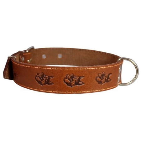 Genuine Leather Dog Collar 1.6 x27 Fits 19 -24 Neck Brown