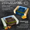 thumbnail image 4 of Jabón en barra O NATURALS para hombre con cítricos, olivo y madera de cedro, 220 ml, 4 of 9