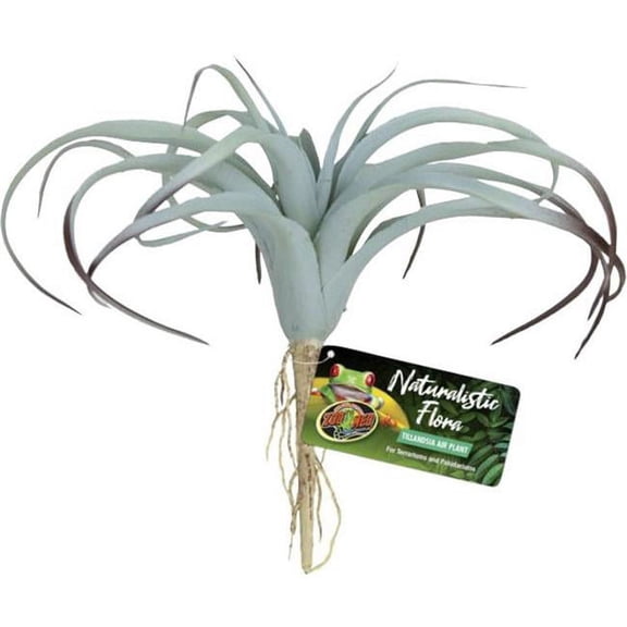 Zoo Med Naturalistic Flora Tillandsia Air Plant 1 count