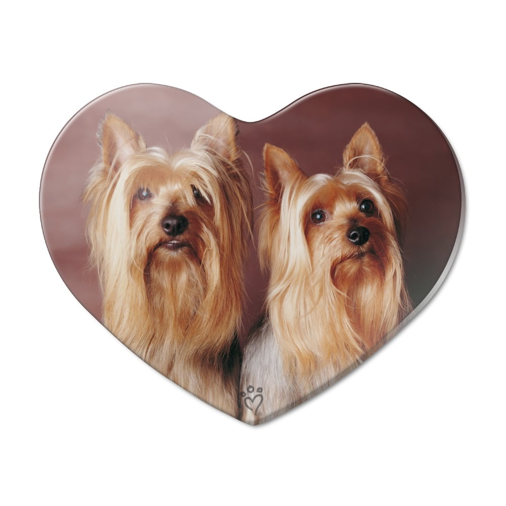 YORKSHIRE TERRIER House Is Not A Home FRIDGE MAGNET 