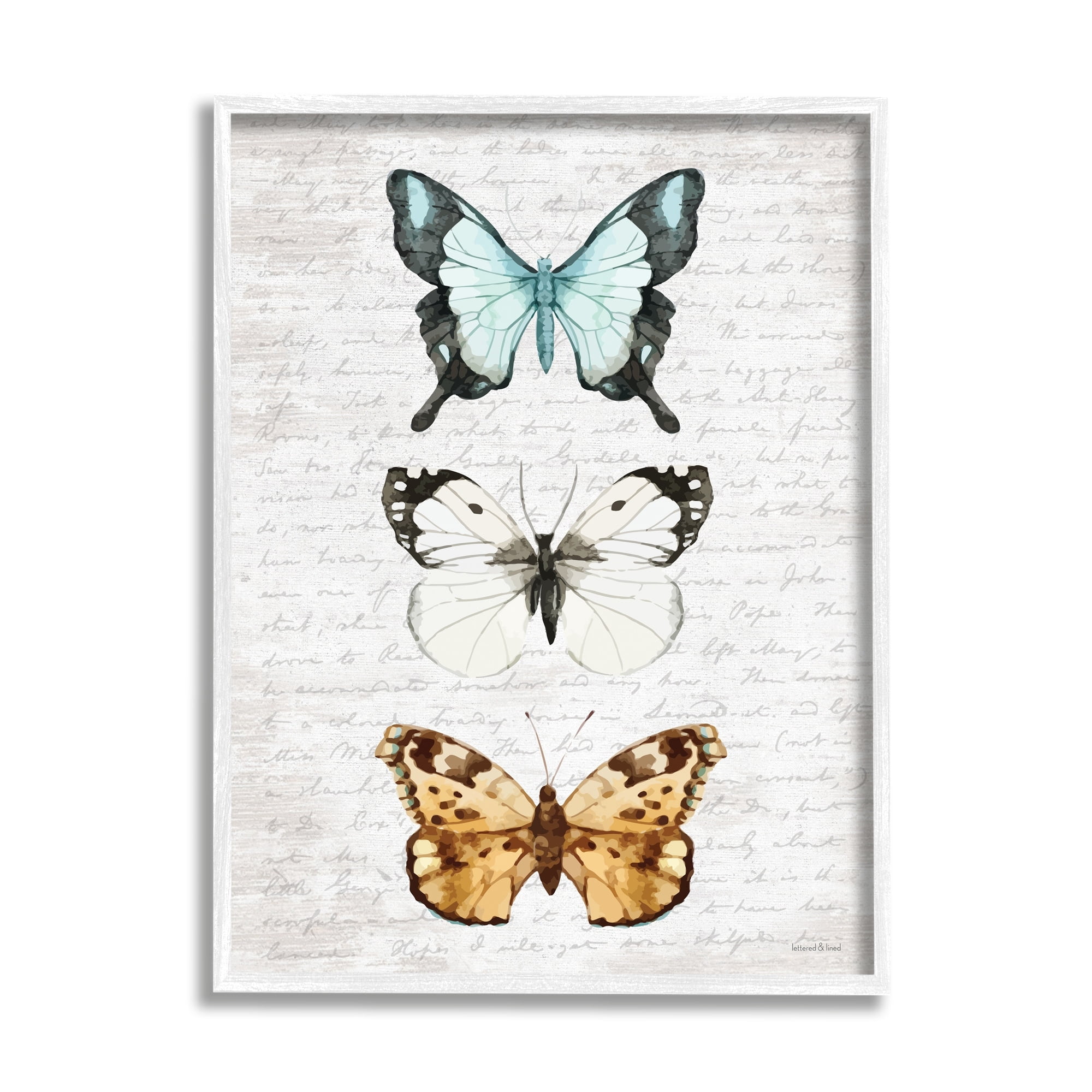 Stupell Industries Butterfly Insect Collection Vintage Scripture Text Pattern,24 x 30, Design by Lettered and Lined