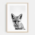 thumbnail image 2 of Baby Fo - Photography Fox Wildlife Black and White Animal Nature Portrait Minimalist Unframed Wall Art Print 5 x 7 inches, 2 of 60