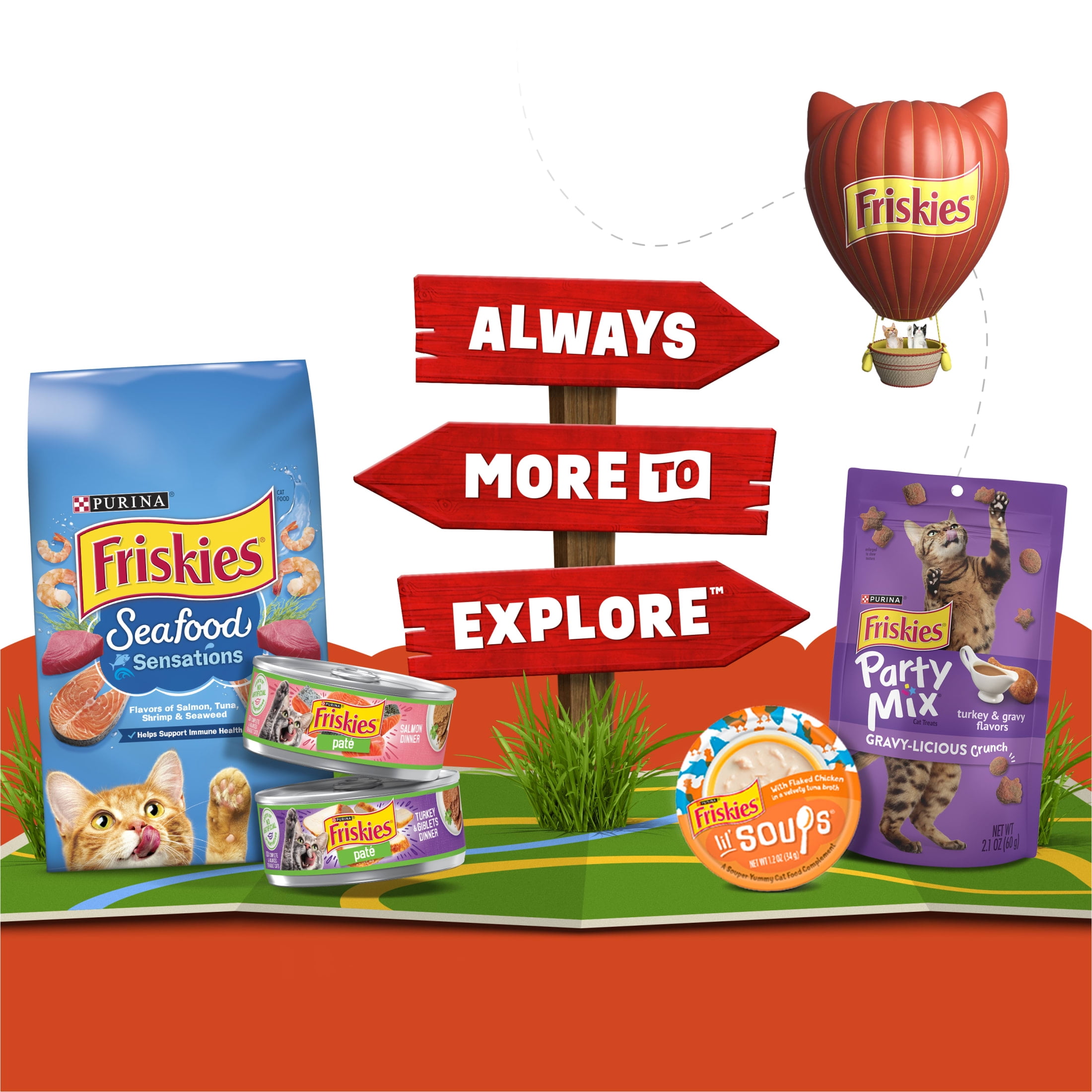 (2 pack) Purina Friskies Lil’ Soups Wet Cat Treats Variety Pack With Sockeye Salmon and With Shrimp, 9.6 oz.