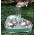 thumbnail image 2 of Cuenco doble elevado para gatos y perros, cuenco para gatos, cuenco para mascotas 3 en 1 con almacenamiento automático de agua (verde), 2 of 3