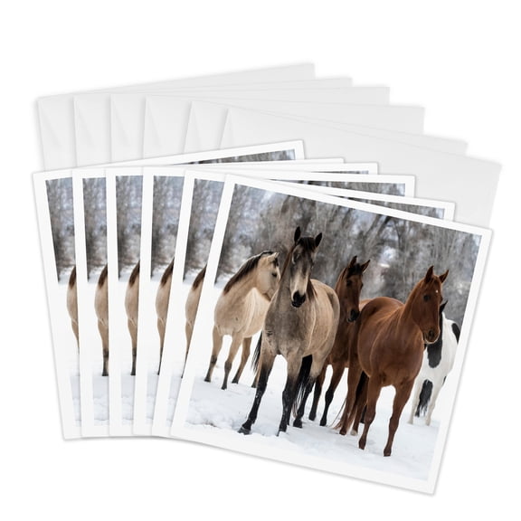3drose, Group of Horses, 6 Greeting Cards with Envelopes
