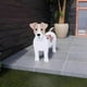 thumbnail image 4 of Cute Dog Planter Plant Pot,animal Flower Planter Pot For Garden Decors Hot, 4 of 5