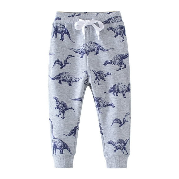 Tisuna Toddler Boys Pants Dinosaur Print Elastic Waist Straight Leg Trousers Cute Soft Spring Autumn Kids Sweatpants Grey Size 2-3 Years
