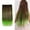 F, variant on XIAQUJ Color Highlights Five Clip Hair Extensions Straight Hair Wig Piece Hair Curtain D