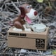 thumbnail image 2 of Alcancía, lindo cachorro hambriento que come monedas, juguete para morder, alcancía para perros, diseño aerodinámico, 2 of 2