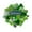Green, variant on Ongmies St. Patricks Day Wreath Welcome Sign Garland Hanging Ornament Front Door Garland for St. Patricks Day Home Decorations