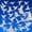 Bird, variant on 36 Pieces Window Decals for Bird Strikes, Window Clings Prevent Birds from Hitting Windows Suncatcher Stickers（Bird, Butterfly, Feather, Leaf