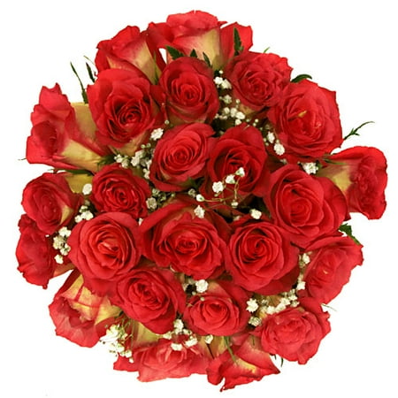 Brilliant Lipstick Roses