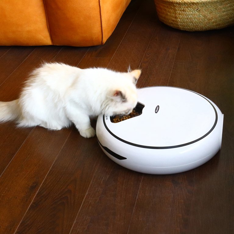 Automatic Timing Pet Feeder, Large Capacity, Dry and Wet Food