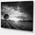 thumbnail image 2 of Vibrant Black White Lavender Field - Extra Large Landscape Canvas Art, 2 of 3
