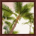 thumbnail image 3 of Great Art Now Bright Oahu Palms by Bill Carson Photography, 2 Piece Framed Art Set Each 13.25"W x 13.25H, 3 of 3