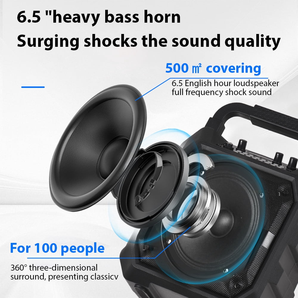 Eccomum Karaoke Machine with 2 Wireless Microphones, Portable Home Speaker System for Adults with RGB Lights for Party