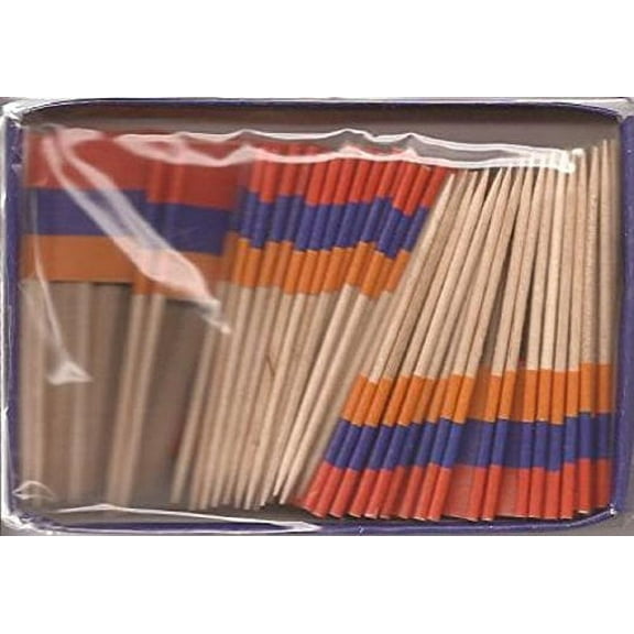 25 Box Wholesale Lot of Armenia Toothpick Flags, 2500 Small Mini Armenian Flag Cupcake Toothpicks or Cocktail Picks