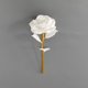 thumbnail image 1 of Simulación de rosa de papel dorado Regalo para el día de la madre, día del maestro, regalo exquisito de Navidad, 1 of 5
