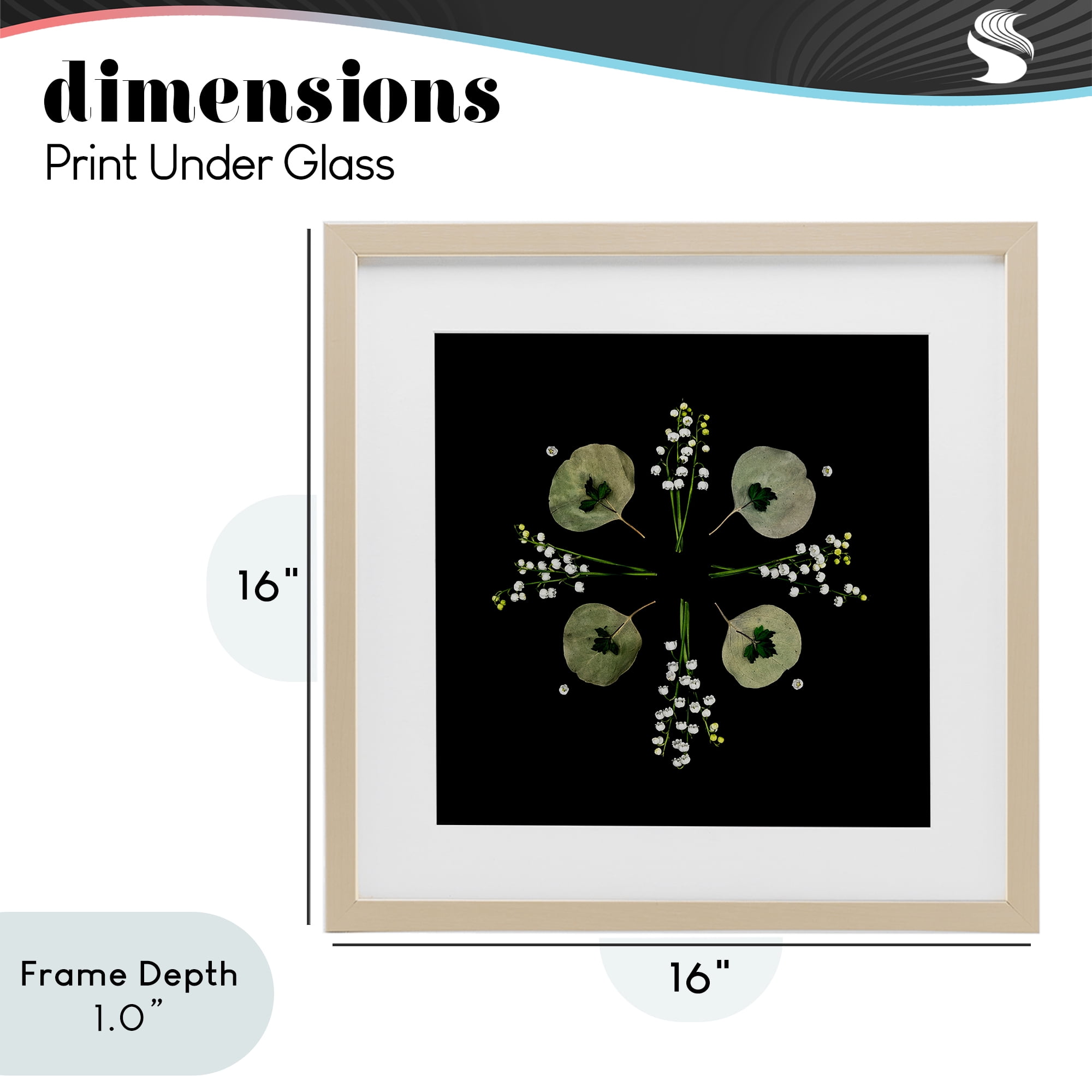 Stupell Industries Leaves & Wildflowers on Black Birch Framed Print Under Glass, design by Beth Adoette