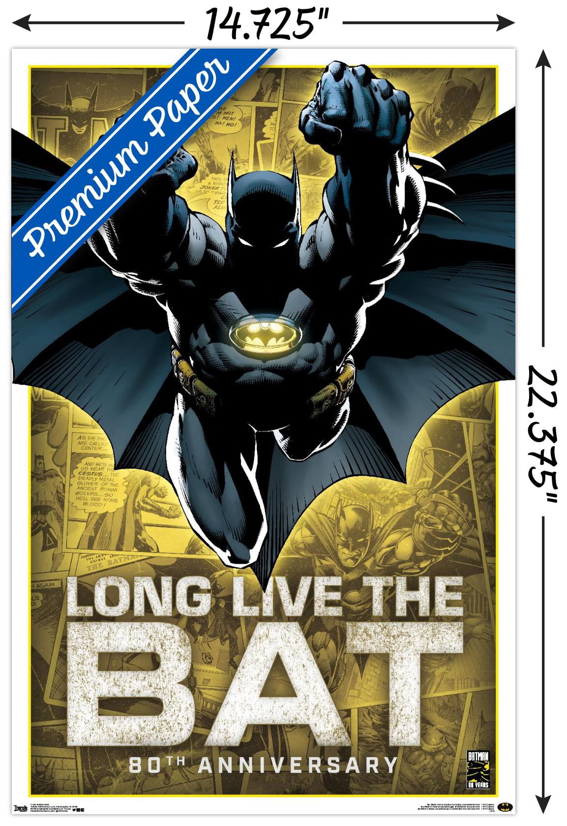 DC Comics - Batman - 80th Anniversary Wall Poster, 14.725" x 22.375"
