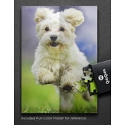 JigFun 500 Piece Puzzle, Jumping Dog Jigsaw Puzzle for Adults/Teens (Puzzle Saver Kit Included)