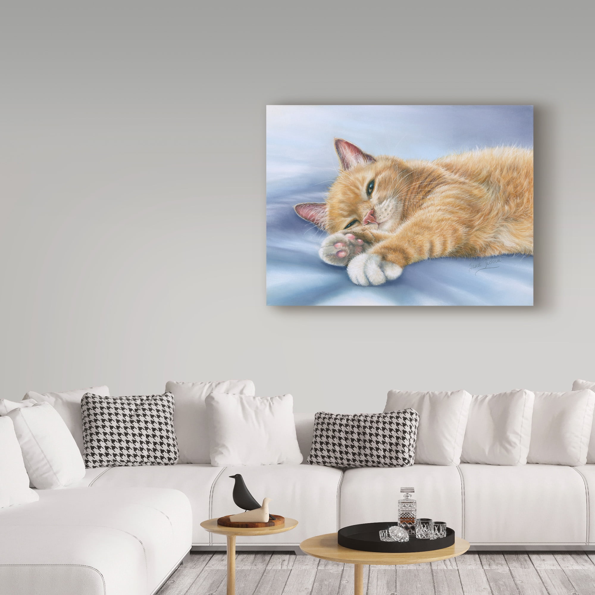 Trademark Fine Art 'Jack Cat' Canvas Art by Janet Pidoux