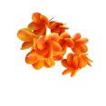 thumbnail image 1 of Cateissary 10 piezas de flores artificiales de PU para decoración opciones de aplicación versátiles y amplias decoración de boda naranja Type3 NO3, 1 of 6