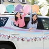 Disney Frozen Birthday Car Parade Decorating Kit