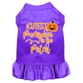 thumbnail image 3 of Cutest Pumpkin in the Patch Screen Print Dog Dress, 3 of 3