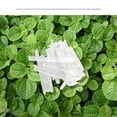 thumbnail image 2 of 100g Pure Natural Menthol Crystals Premium Menthol Crystals For Aromatherapy, 2 of 5