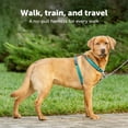 thumbnail image 2 of Arnés para perros PetSafe 3 en 1 sin tirones para perros grandes, color verde azulado, 2 of 8