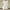White, variant on Jacenvly Summer New Trendy Women Casual Summer Round Neck Half Sleeve Tops and Shorts Two Set Suit Solid Breathable Two Piece Outfits Women Plus Size Army Green