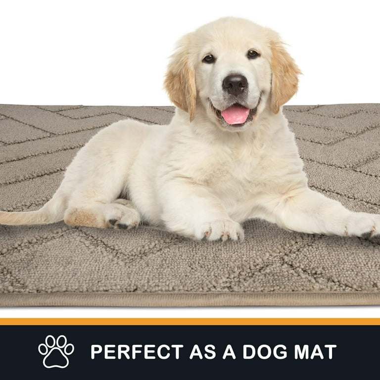Pet Bed Mat 23.5 x 35.5, Dog Door Mat for Muddy Wet Paws and Shoes, Dog Indoor Door Non-Slip, Absorbent, Dirt Resist Mat, Machine Washable