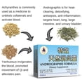 thumbnail image 2 of Andrographis Formula, 2 of 2