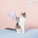 thumbnail image 2 of Dreamy Feather Funny Cat Stick Bell Juguete Elástico Resistente A Los Dientes Para Gatos Exquisitos Juguetes Divertidos Para Gatos Con Plumas De Colores Para Mascotas Gatos Animales Vogacara PT000989-00, 2 of 7
