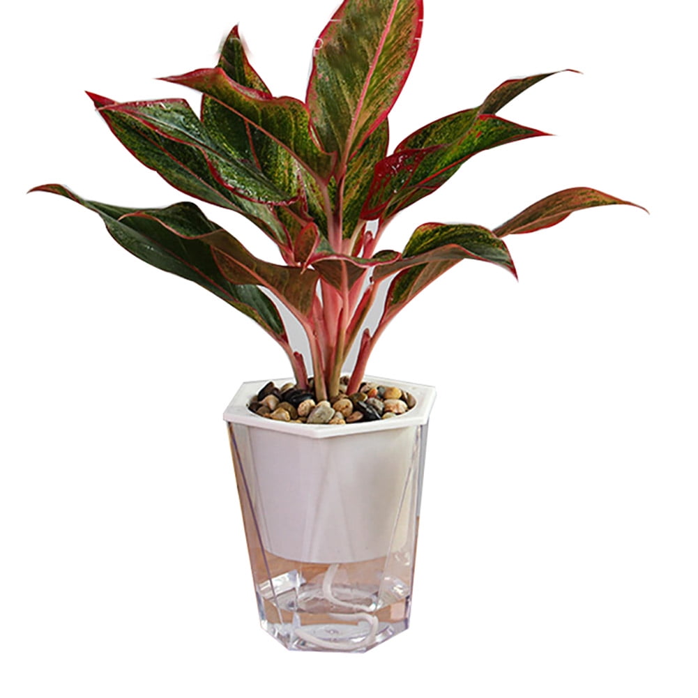 FREE SHIPPING Details about   POT CERAMIC SELF WATERING PLANTER 