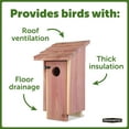 Pennington Red Cedar Bluebird Wild Bird House, 2 Pack 13'' Tall