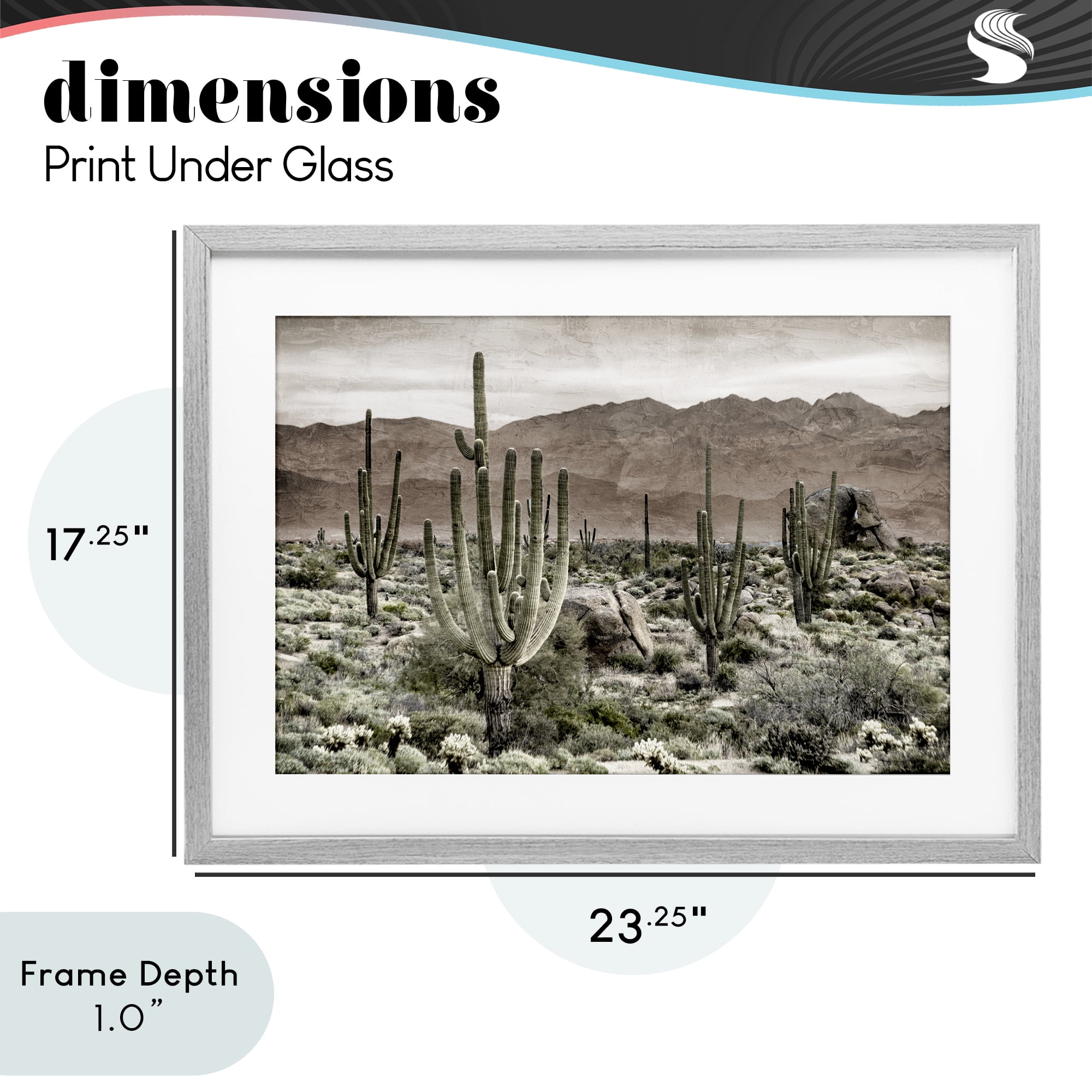 Stupell Industries Desert Land Cacti Wilderness Gray Framed Print Under Glass, design by Kim Allen